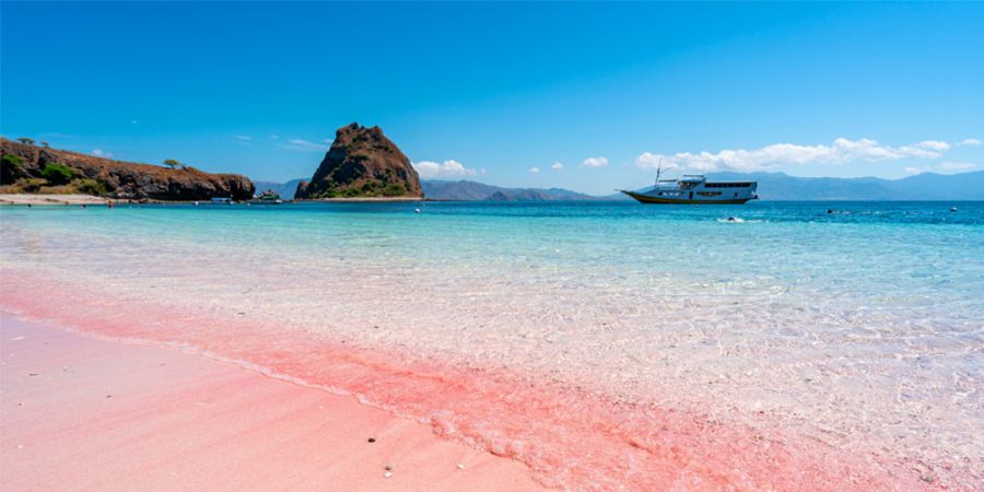 pink beach komodo ntt batiqa hotels 6p9ip